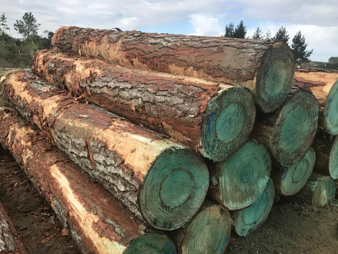 微信圖片_20190703134419.jpg 微信圖片_20190703134419.jpg